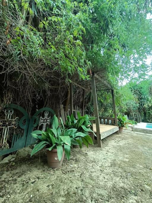 Casa Rural En El Campo Con Animales, Piscina Y Barbacoa Almodovar del Rio Ngoại thất bức ảnh