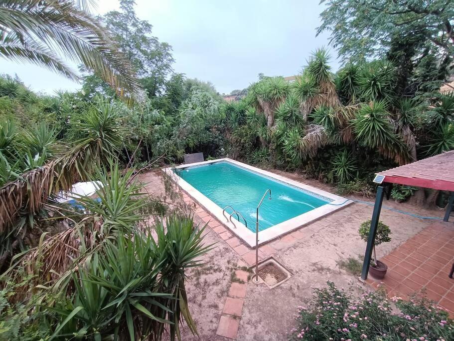 Casa Rural En El Campo Con Animales, Piscina Y Barbacoa Almodovar del Rio Ngoại thất bức ảnh