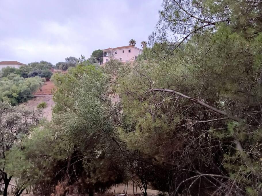 Casa Rural En El Campo Con Animales, Piscina Y Barbacoa Almodovar del Rio Ngoại thất bức ảnh