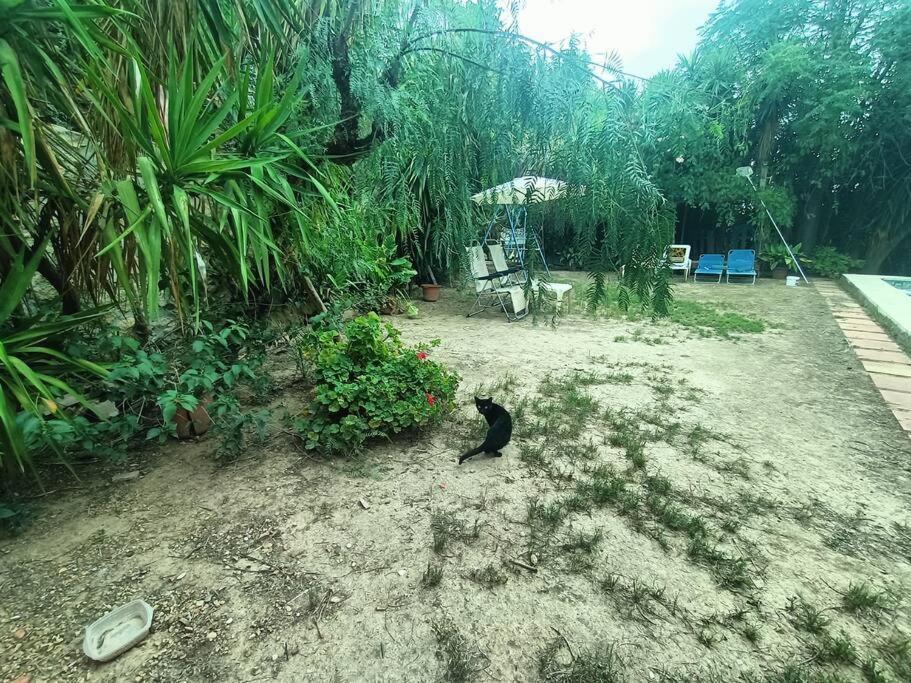 Casa Rural En El Campo Con Animales, Piscina Y Barbacoa Almodovar del Rio Ngoại thất bức ảnh
