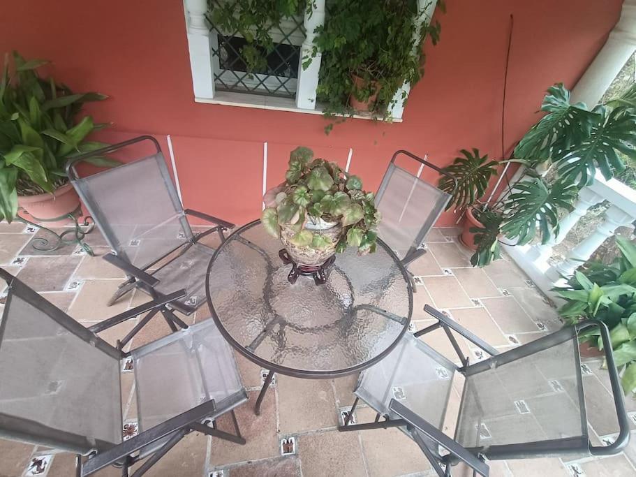 Casa Rural En El Campo Con Animales, Piscina Y Barbacoa Almodovar del Rio Ngoại thất bức ảnh