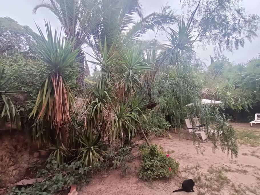 Casa Rural En El Campo Con Animales, Piscina Y Barbacoa Almodovar del Rio Ngoại thất bức ảnh