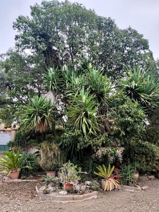 Casa Rural En El Campo Con Animales, Piscina Y Barbacoa Almodovar del Rio Ngoại thất bức ảnh